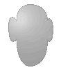 Saugnapfschild in Kopf-Form konturgefräst <br>einseitig 4/0-farbig bedruckt