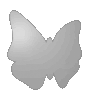 Saugnapfschild in Schmetterling-Form konturgefräst <br>einseitig 4/0-farbig bedruckt